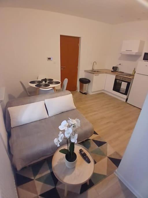 Appartement F1 Orchidee Mulhouse Luaran gambar