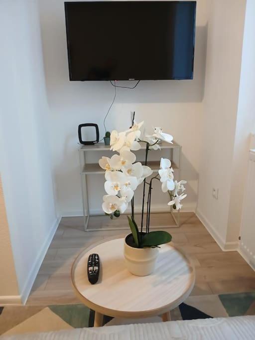 Appartement F1 Orchidee Mulhouse Luaran gambar